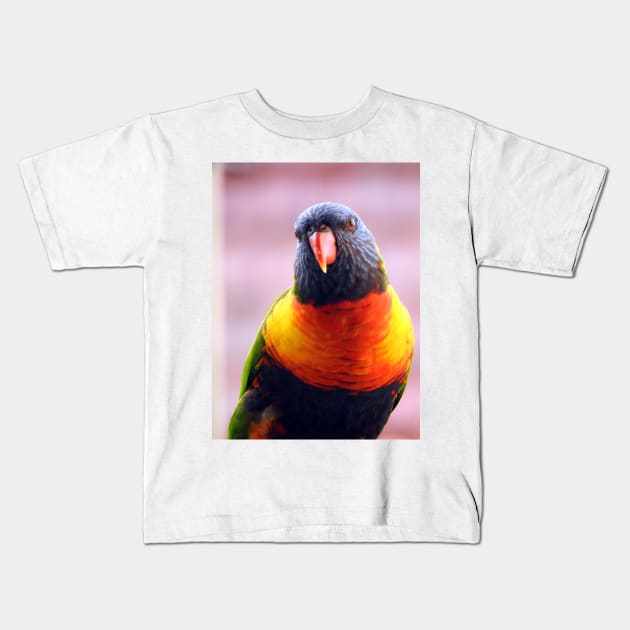 Rainbow Lorikeet Kids T-Shirt by kirstybush